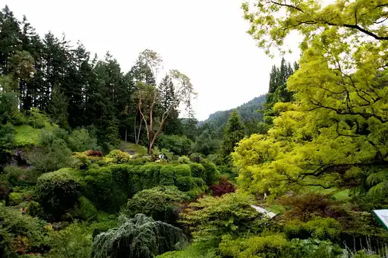 Sunken Garden aux Butchart Gardens, Victoria